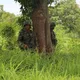 Zitamar Mozambique conflict updates