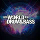 13.02.27 - The World of Drum & Bass (Санкт-Петербург)