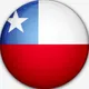 智利素材🇨🇱（教授/助理/高端定制）