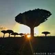 Socotra♡ island