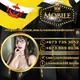 LIVEMOBILE888 BRUNEI🇧🇳
