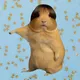 Wiggles the Goofy Guinea Pig