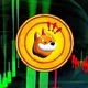 Bonk Coin Türkiye