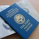 Гражданство Кыргызстана