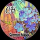 Cerminhidup Grup
