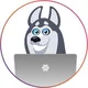 SW_Mongolia_LIVESTORE🇲🇳