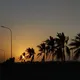 نیازمندی‌های امارات و عمان