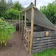 The Constant Gardener