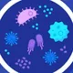 Microbiology(Qods)🧬💊🧪🔬