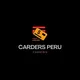 CARDERS PERU🇵🇪💳