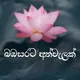 🌺🌺 ~ බඹසරට අත්වැලක් ~ 🌺🌺
