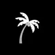 Miami Leads 🌴