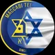 מכבי תל אביב - הקול מהיציע