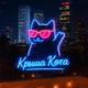 Cats Roof
