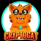CryptoCat discussion