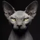 Заточная система Sphinx