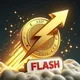 Funds Crypto Flashing Wallets