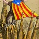 CatXlaRepública 🎗