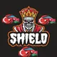 🇦🇿🇹🇷 Shield Azərbaycan And Türkiye 🇦🇿🇹🇷