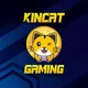 KinKat Gaming | Vilas Việt Nam