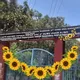 HAWASSA TABOR SCHOOL