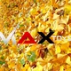 کارخانه تولید اسباب بازی maxtoy