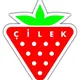 CILEK(ЗАПУСК ОФЕРОВ)
