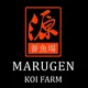 Marugen Koi Farm Singapore