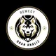 E FUTBOL NESİNE ORAN ANALİZİ