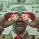 Pro CryptoNews chat