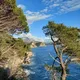 Петровац на Мору | Petrovac na Moru | Castellastua