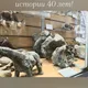 Музей естественной истории Центральной России ( палеонтология, зоология)