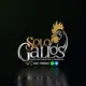 SOLO GALLOS