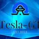 Tesla—GT