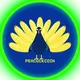 Peacock coin Nigeria