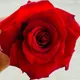 SHINAR_GURBANOVA_07