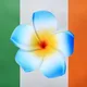 🇨🇮🇺🇦Украинцы в Ирландии Дублине Корк Бандоране