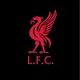 Liverpool-fan