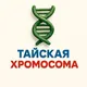 🇹🇭Тайская Хромосома - Пхукет | Паттая | Бангкок