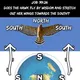 Flat Earth Hungary
