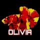 Olivia Betta