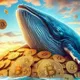 Crypto new haifa
