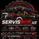 belarus_mtz_servis