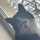 Северная Корея 🇷🇺