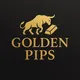Golden Pips “Forex Trading channel”