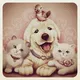Hyderabad pets