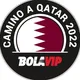 Camino a Qatar 2022 - Bolavip