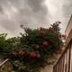 يوميات إبنة مكة المكرمة 🕋