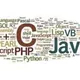 Python , java , PHP , CSS , HTML , développement