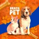 BRASIL PET 🐶🐱